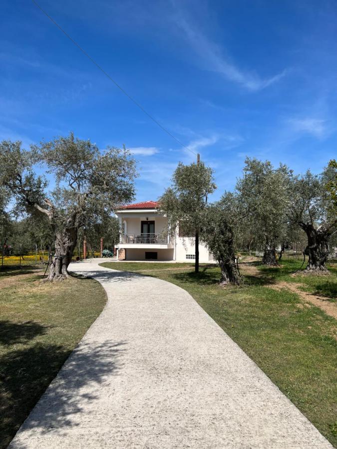 Skala Rachoni  Villa Calypso מראה חיצוני תמונה