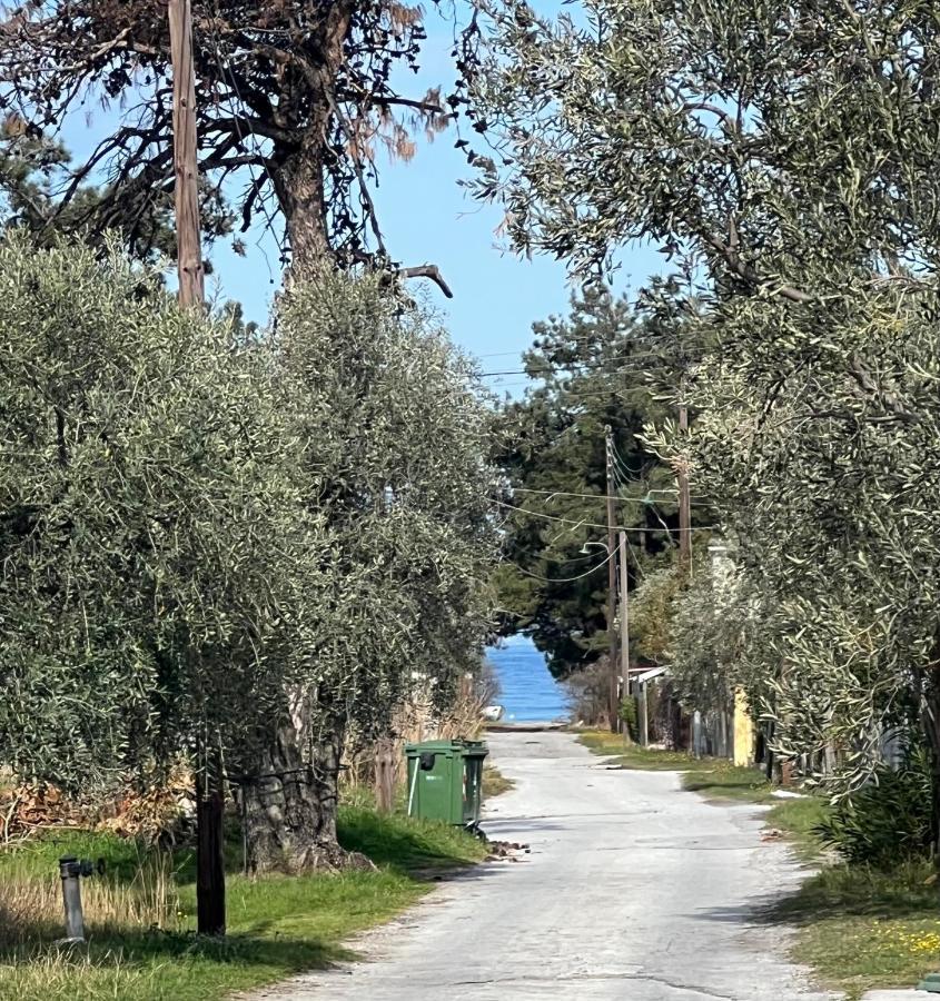 Skala Rachoni  Villa Calypso מראה חיצוני תמונה
